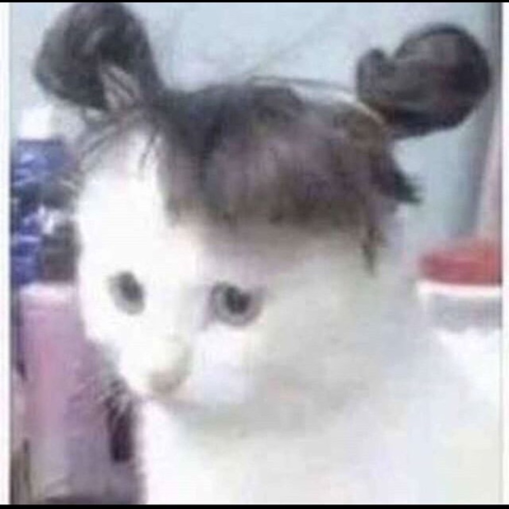 Meet your Posher, Nikki